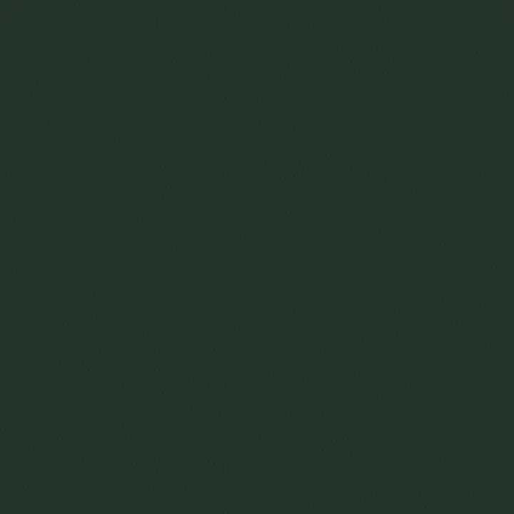 Wall-to-wall Carpet 353