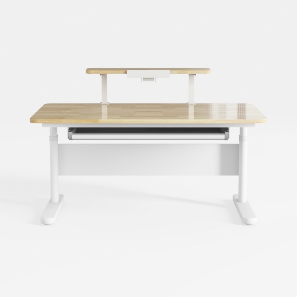 Marsail 48x24 Electric Standing Desk - Adjustable 