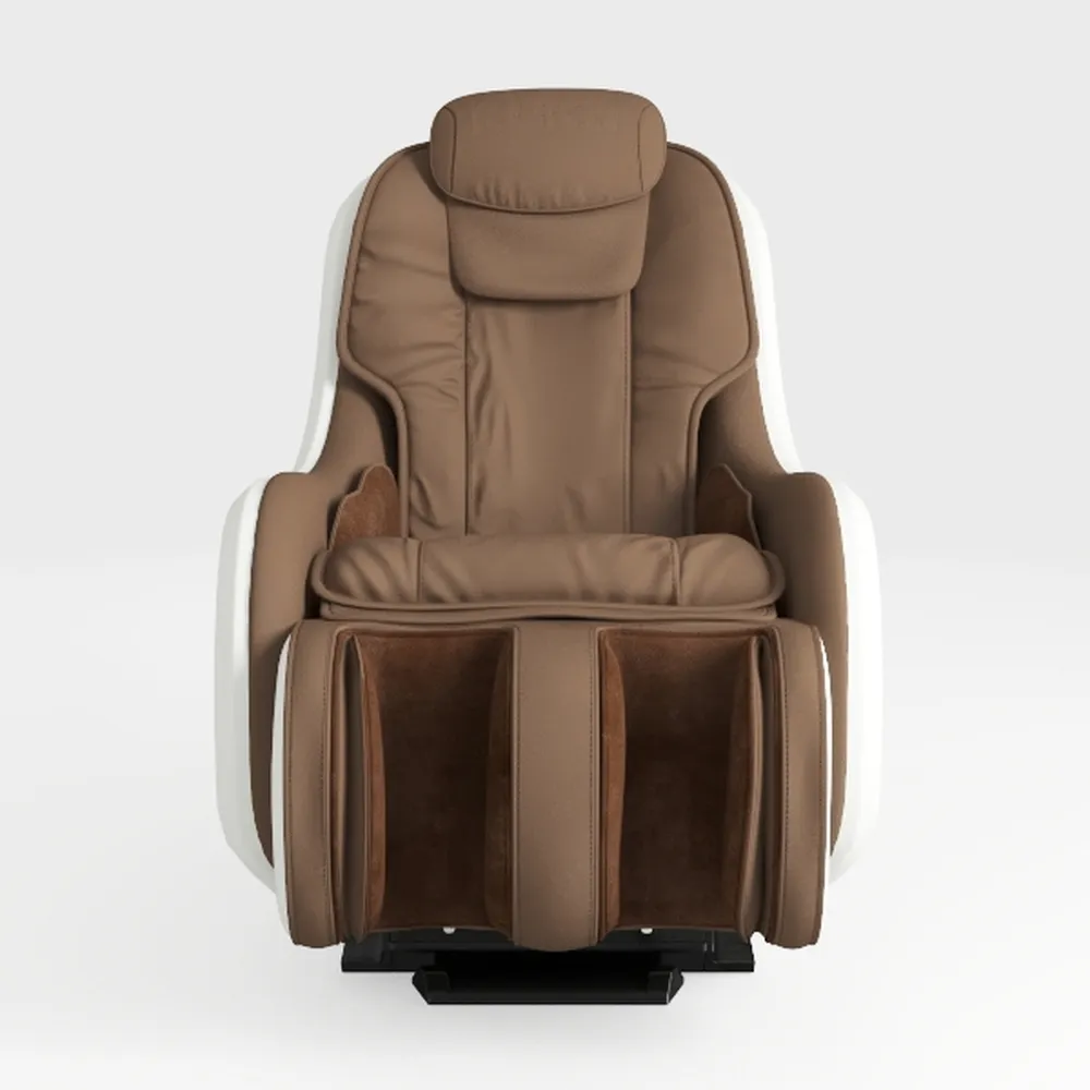 SALOHZA Power Lift Recliner Chair for Elderly with