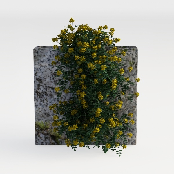 flower wall-Outdoor Facility