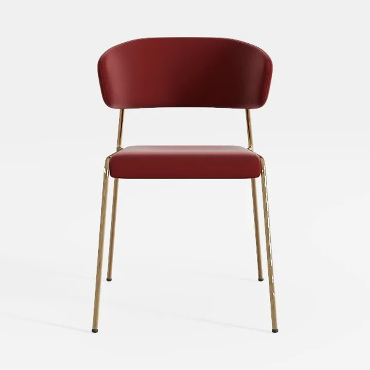Soft Velvet Dining Chair,Make up Nail Art