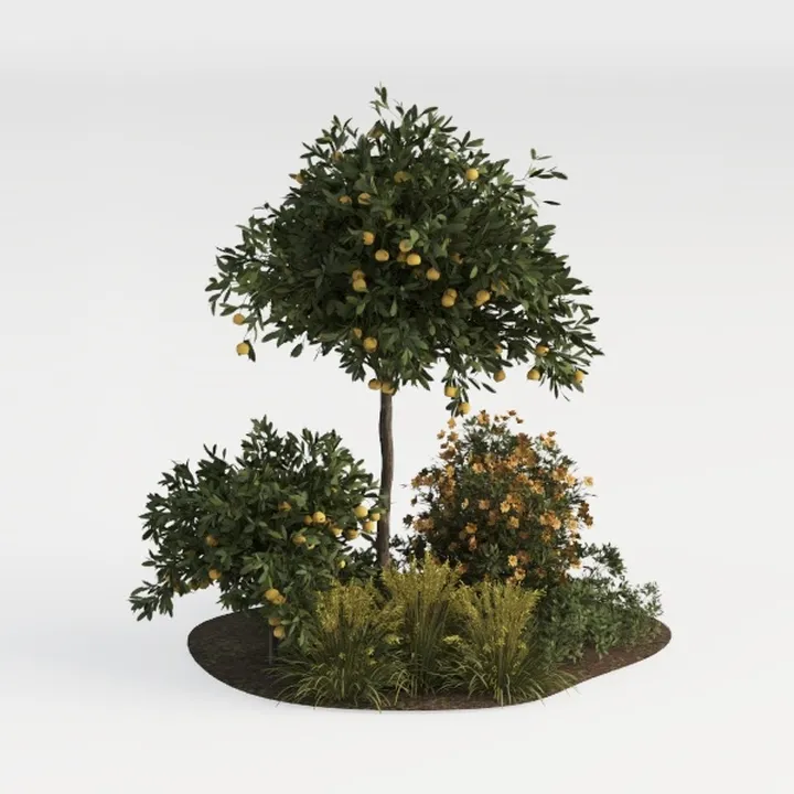 Realistic Garden Landscape With Fruit Trees Shrubs And Ornamental Grasses 3D Model