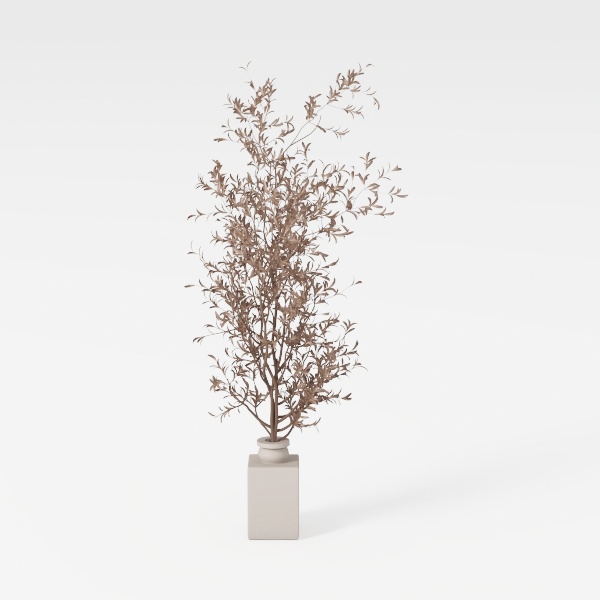 plant-Fireside Comfort