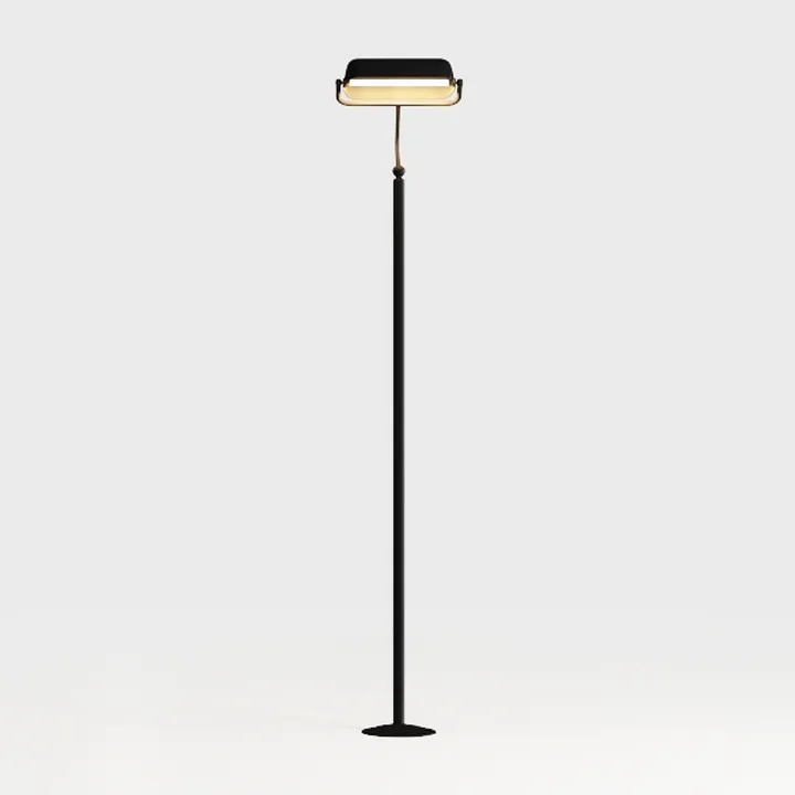 EAPUDUN Pendant Lights (2 Packs), Hanging Lights