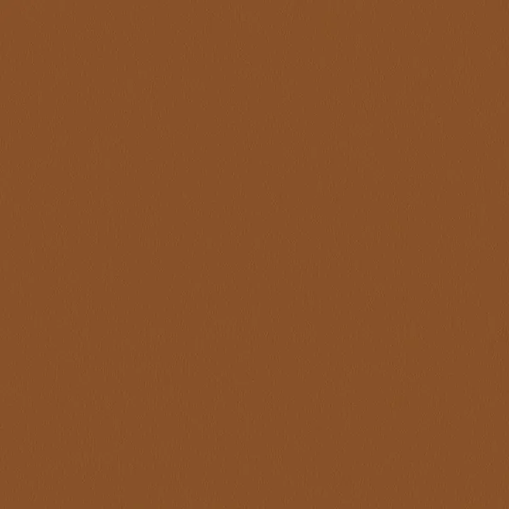 Wall-to-wall Carpet 355