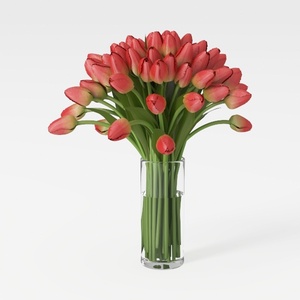 ornament-Lively Spectrum