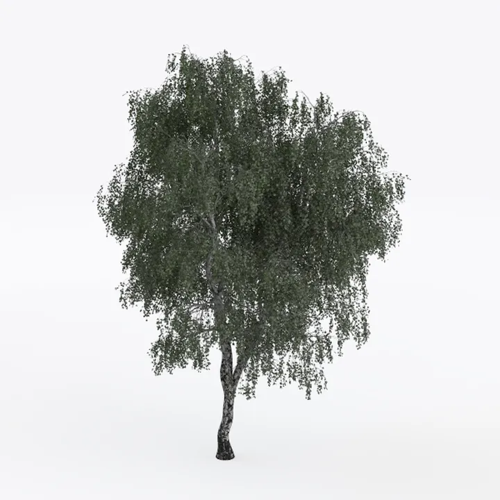 tree-Landscape Greenery