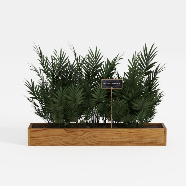 plant-Botanical Home