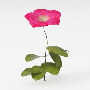 flower-Fluttering Blooms