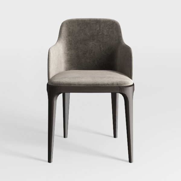 Modern Upholstered Dining Chairs Set of 2, Mid