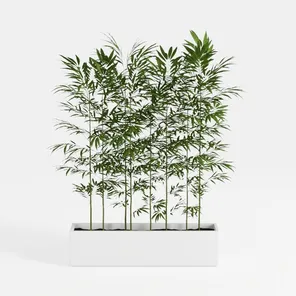 model review img 1