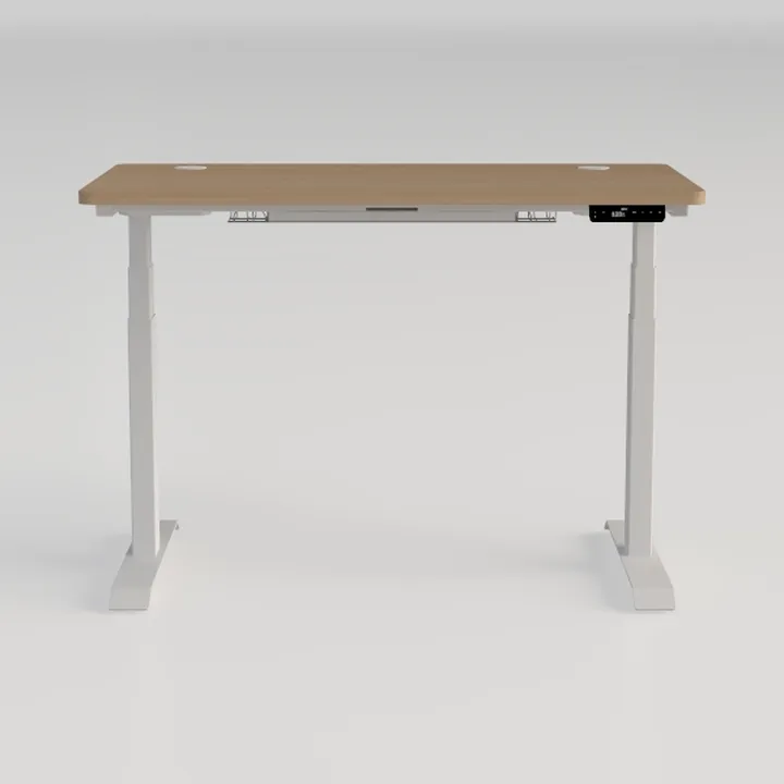 FLEXISPOT EN1 One-Piece Standing Desk, 48 x 30