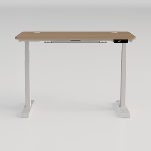 FLEXISPOT EN1 One-Piece Standing Desk, 48 x 30