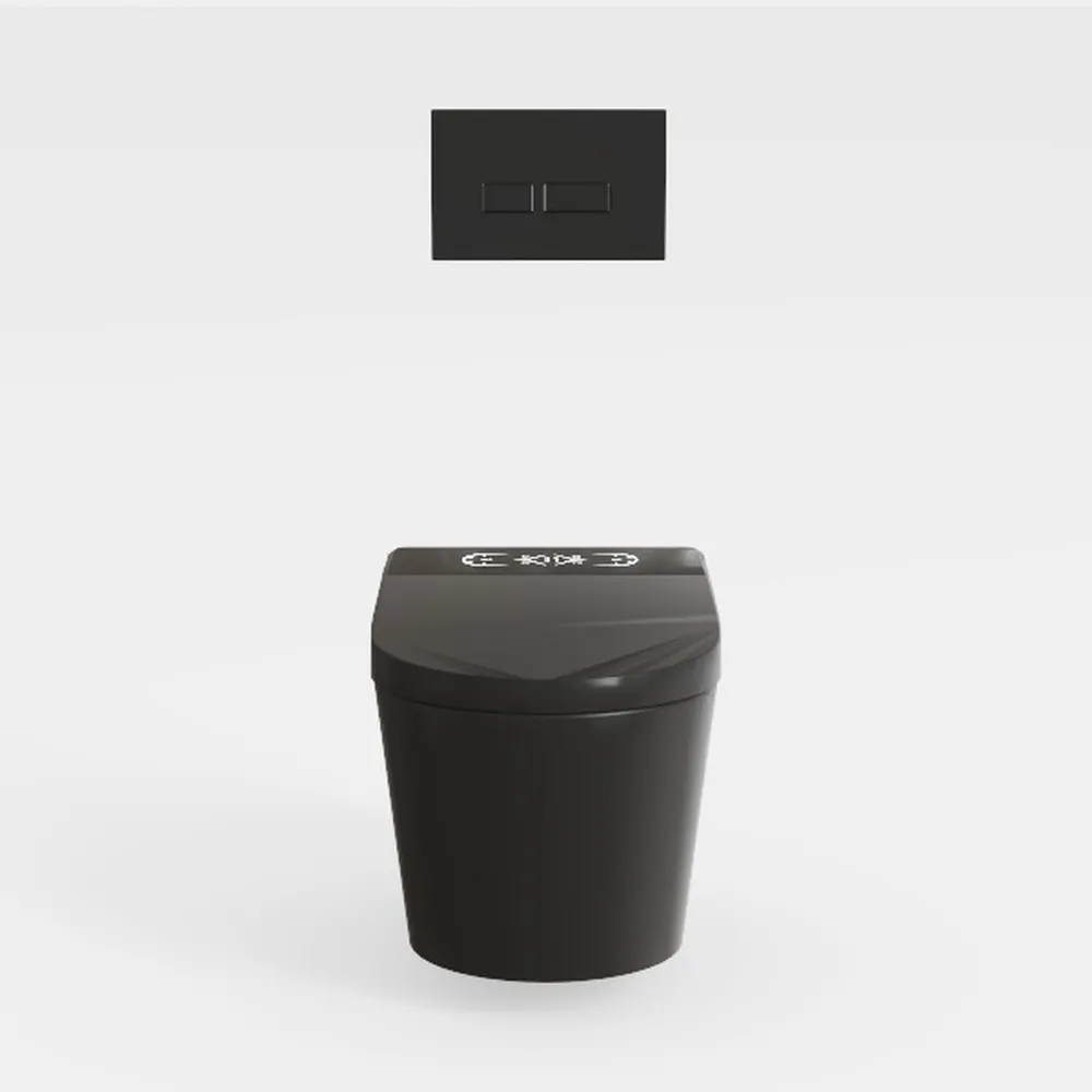 CANEST Black Smart Toilet, Tankless Bidet Toilet