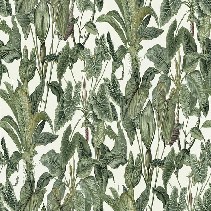 wallpaper-Rainforest Wall Deco
