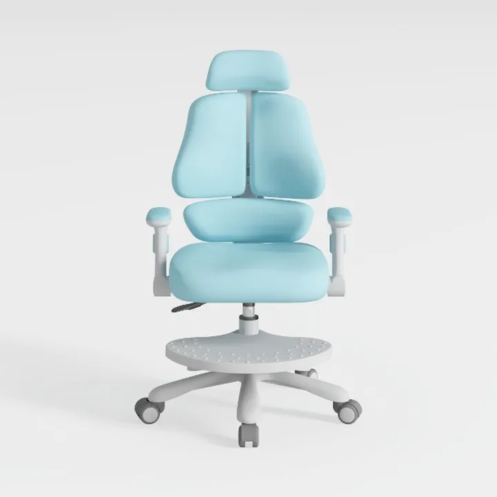 Office Chair,E-Sports Game Home Live Broadcast Erg