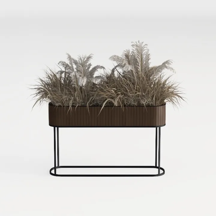 plant-Open Patio