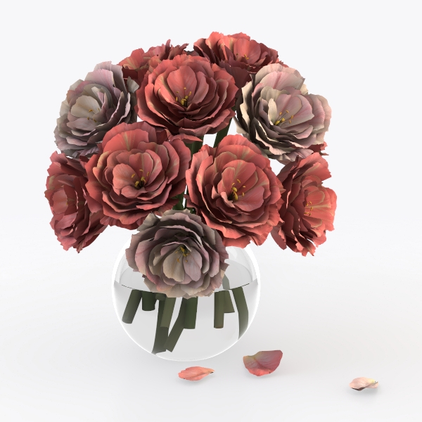 String of Pearls (4-inch), Succulents Plants Live,