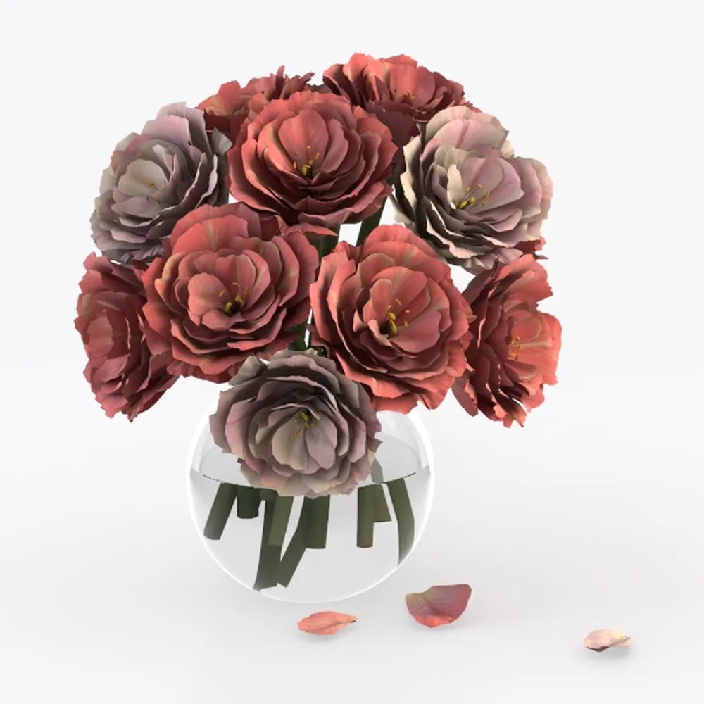 String of Pearls (4-inch), Succulents Plants Live,