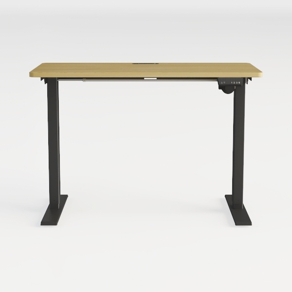 FLEXISPOT EN1 Whole-Piece Standing Desk 48 x 24