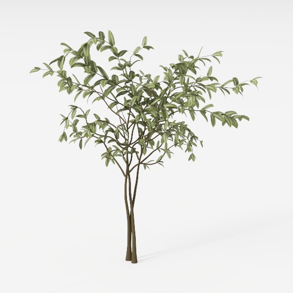 EcoFaux Artificial Olive Tree 6ft - Indoor Tall