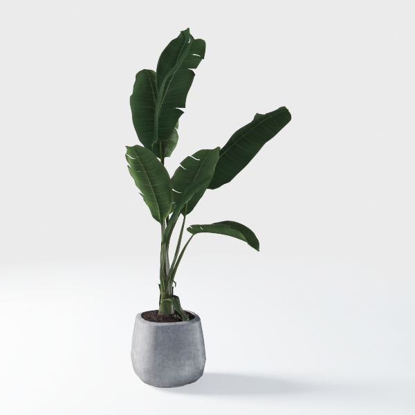 Artificial Bird of Paradise Plant, 5.2FT Tall