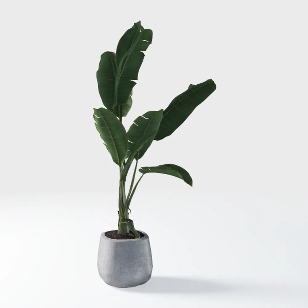 Artificial Bird of Paradise Plant, 5.2FT Tall