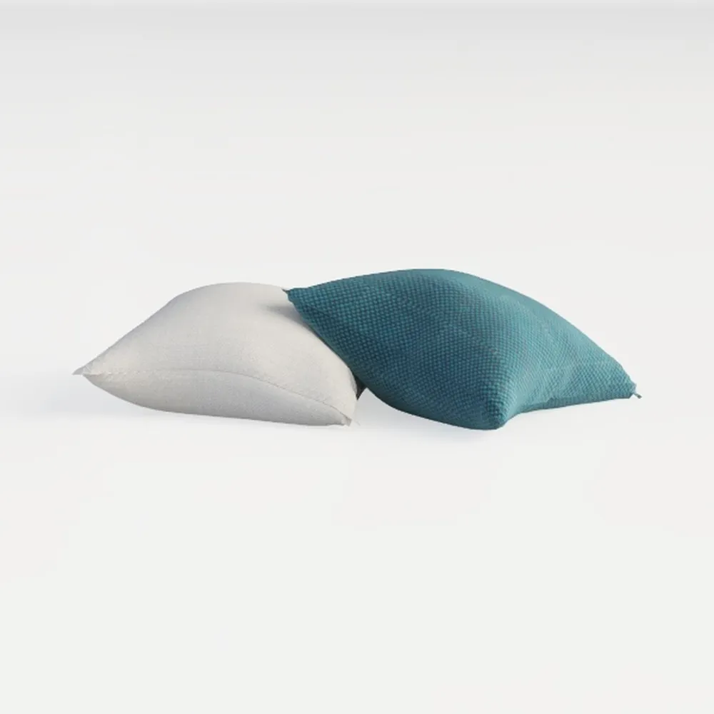 Set of 2 100% Cotton Fabric Plump Throw Pillow