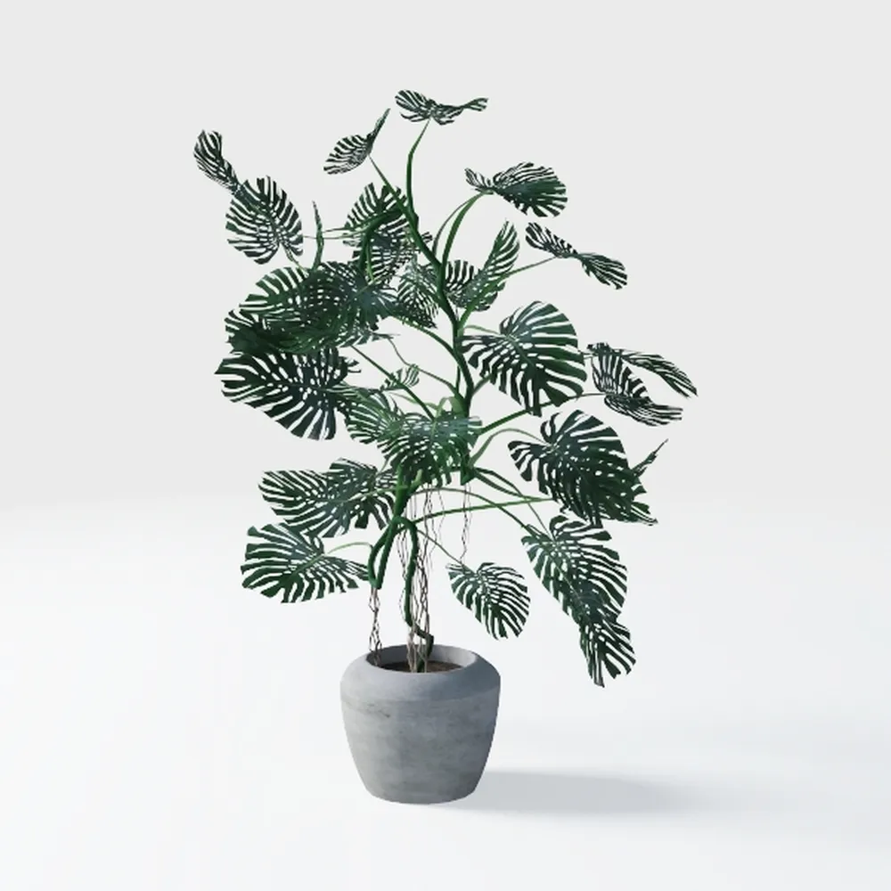 Winlyn 20 Pcs Mixed Artificial Oval Eucalyptus Lea