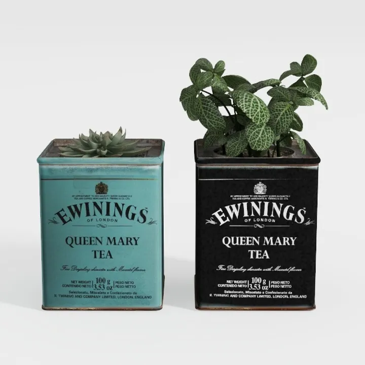 Designer Plant-76
