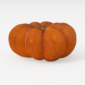 Pumpkin-Fruit & Veg Art