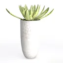 null Left 45 Degree View