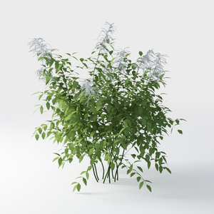 Open-air Cafe-plants 31.max