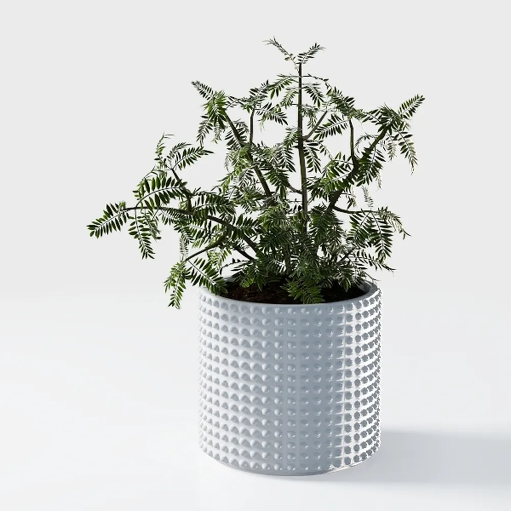 Costa Farms Live Plant Pothos | Easy to Grow 10-12