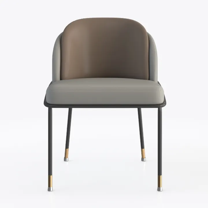 Modern Two Tone Fabric Metal Accent Chair 3D Model