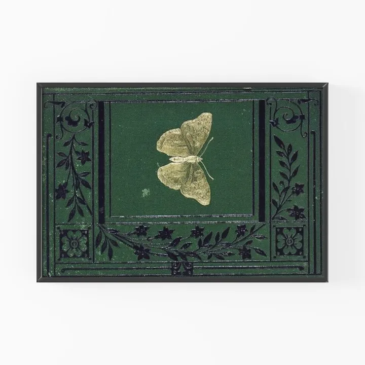 Vintage Ornate Framed Butterfly Wall Art Decor 3D Model