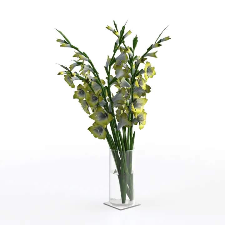 Minimalist Clear Glass Vase With Gladiolus Flower Arrangement 3D Model