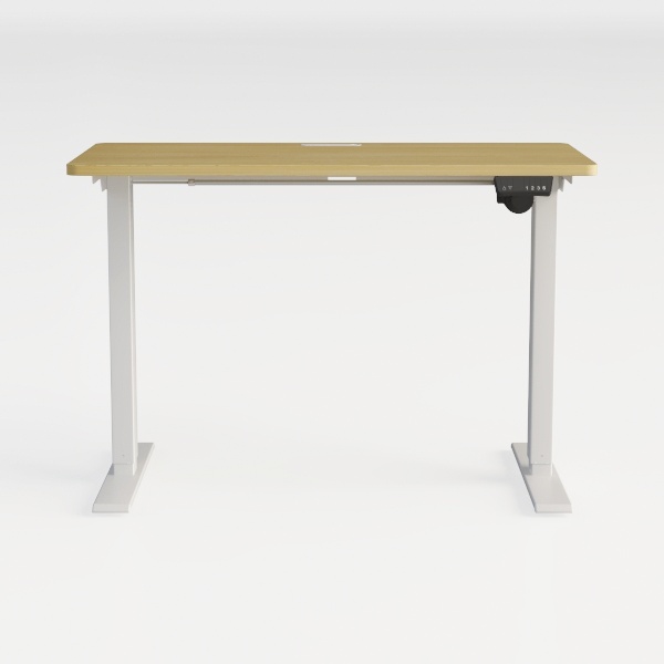FLEXISPOT EN1 One-Piece Adjustable Desk 40 x 24
