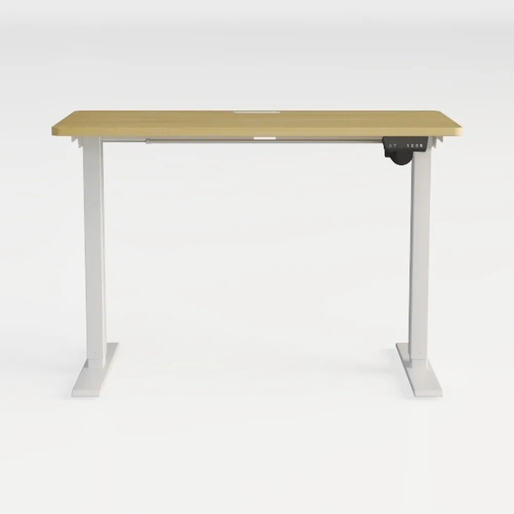 FLEXISPOT EN1 One-Piece Adjustable Desk 40 x 24