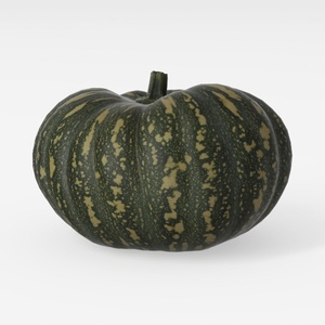 Pumpkin-Fruit & Veg Art