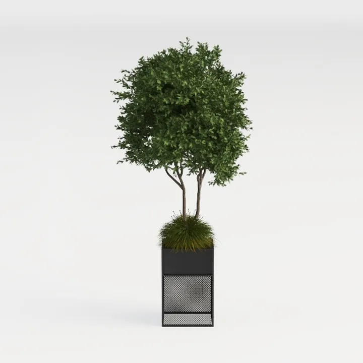 planter box- Outdoor Planters & Plants