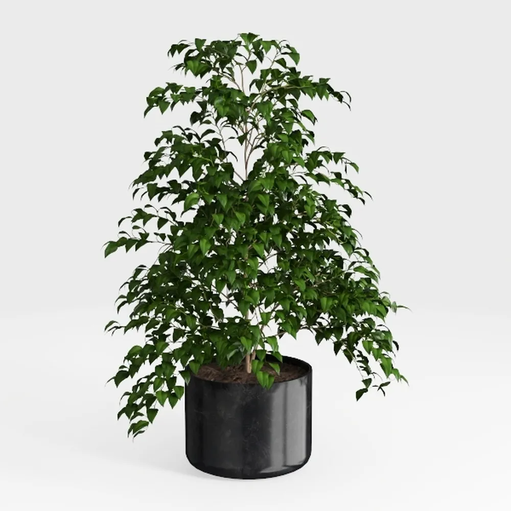GTIDEA 5ft Ficus Tree Artificial, Tall Fake Tree w