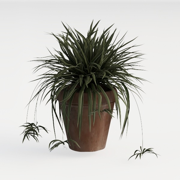 GeLive Short Round White Ceramic Vase Table