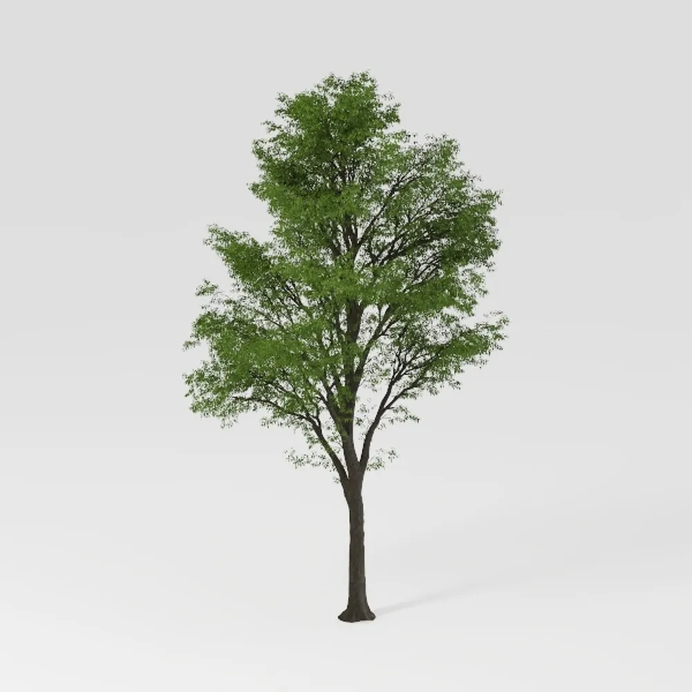 EcoFaux Artificial Olive Tree 6ft - Indoor Tall