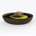 null Right 45 Degree View