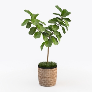 MyGift 6-Inch Shiny Brass Tone Metal Plant Pot