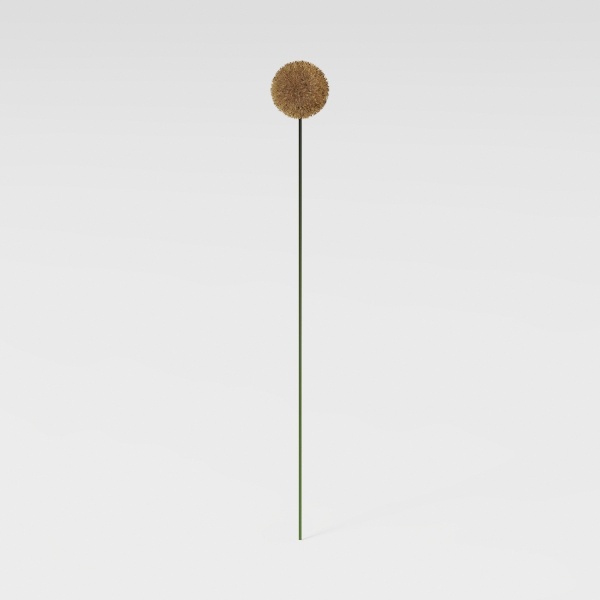 flower-Fluttering Blooms