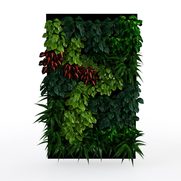 Green plant N-39
