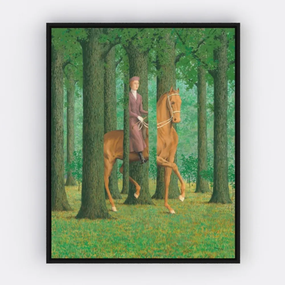 Tree Canvas Wall Art Sunlight Through Green Trees