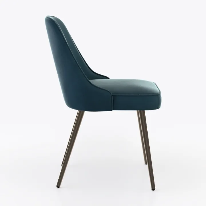 Kidol & Shellder Dining Chairs Set of 2, Modern